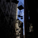 Sydney ist im allgemeinen gut zu Vögeln.