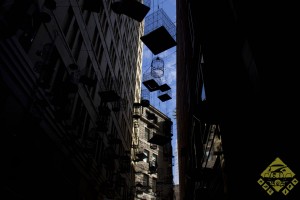 Sydney ist im allgemeinen gut zu Vögeln.