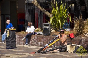 Digeridoo - brüllend laut!