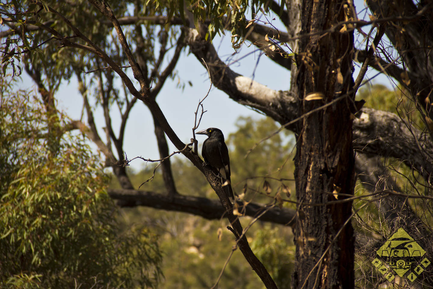 featured image 20120909_6029