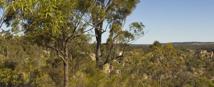 featured image 20120909_6120