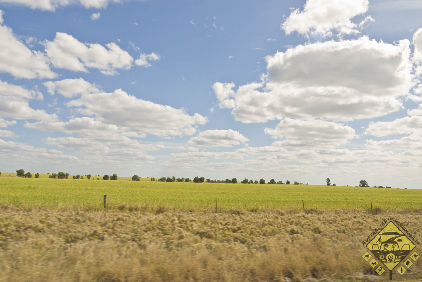 featured image 20120910_5705