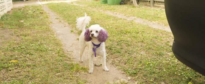 featured image 20120913_7392