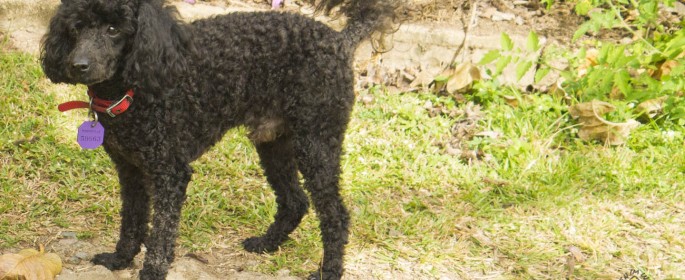 featured image 20120913_7410