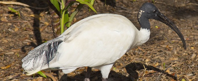 featured image 20120914_6274