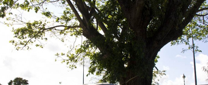 featured image 20120914_6291