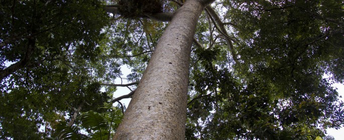 featured image 20120914_6344