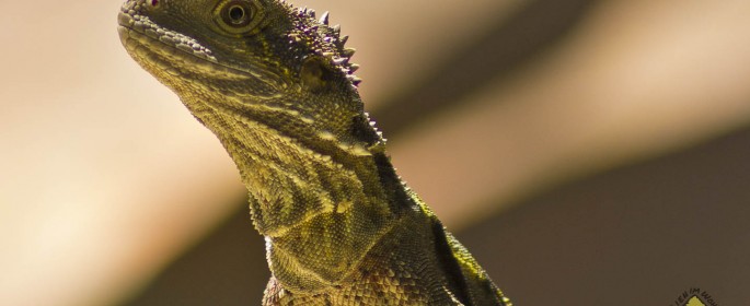 featured image 20120914_6526