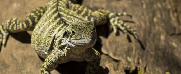 featured image 20120914_6529