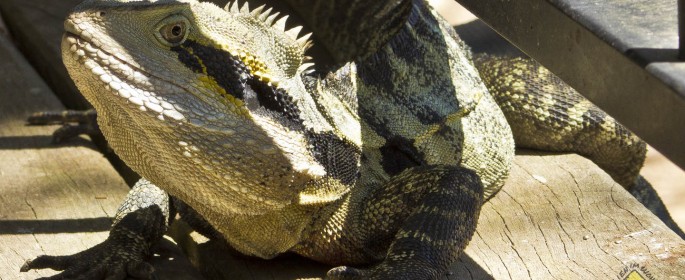 featured image 20120914_6554