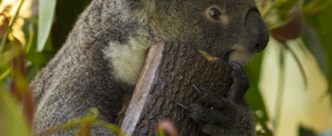 featured image 20120914_6578