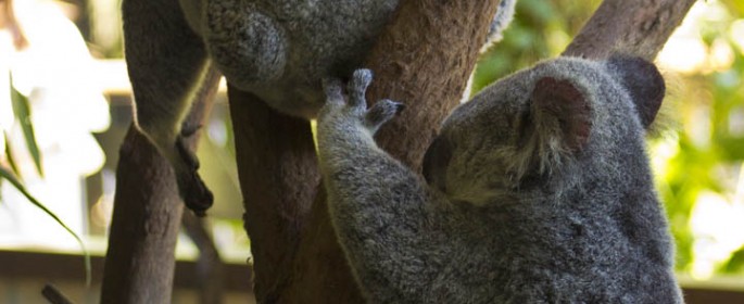 featured image 20120914_6594