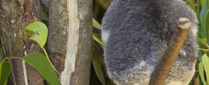 featured image 20120914_6599