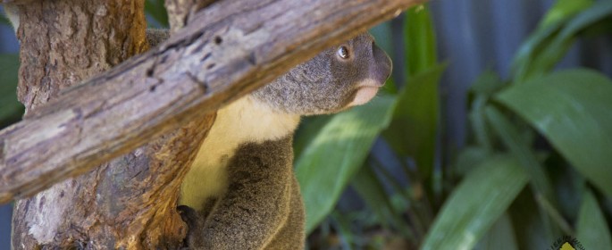 featured image 20120914_7022