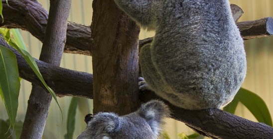 featured image 20120914_7027