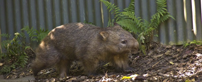 featured image 20120914_7039