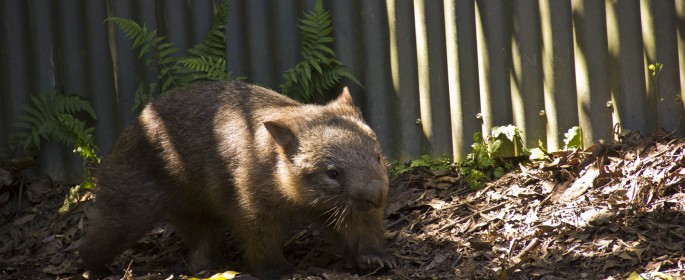 featured image 20120914_7041