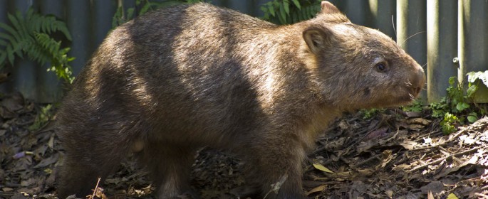 featured image 20120914_7051