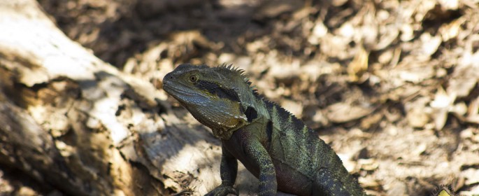 featured image 20120914_7067