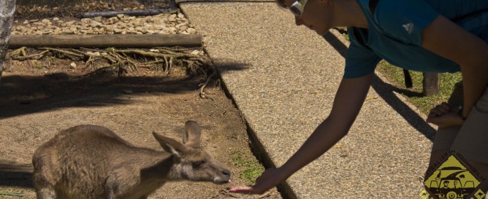 featured image 20120914_7101