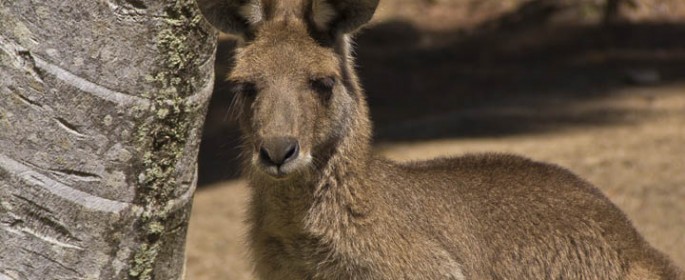 featured image 20120914_7107