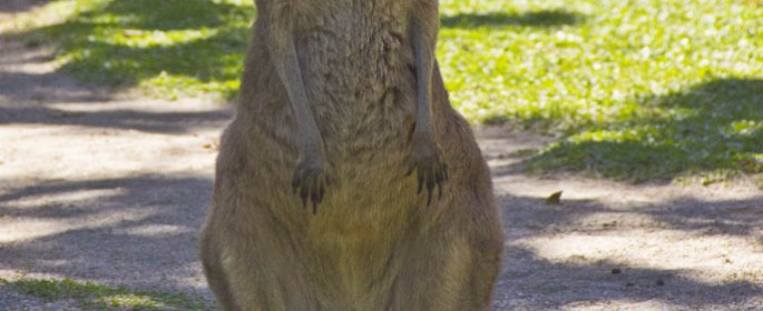 featured image 20120914_7112