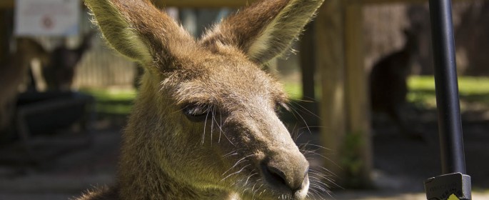 featured image 20120914_7128