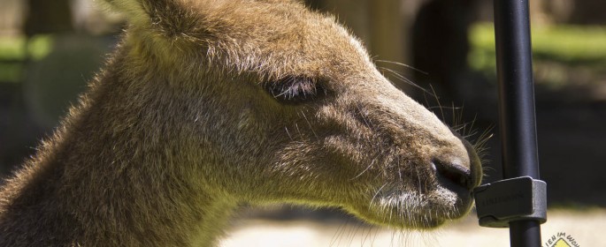 featured image 20120914_7129