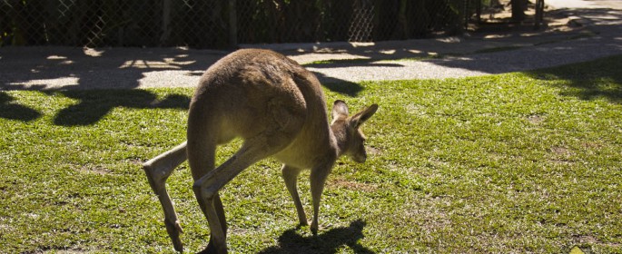 featured image 20120914_7138