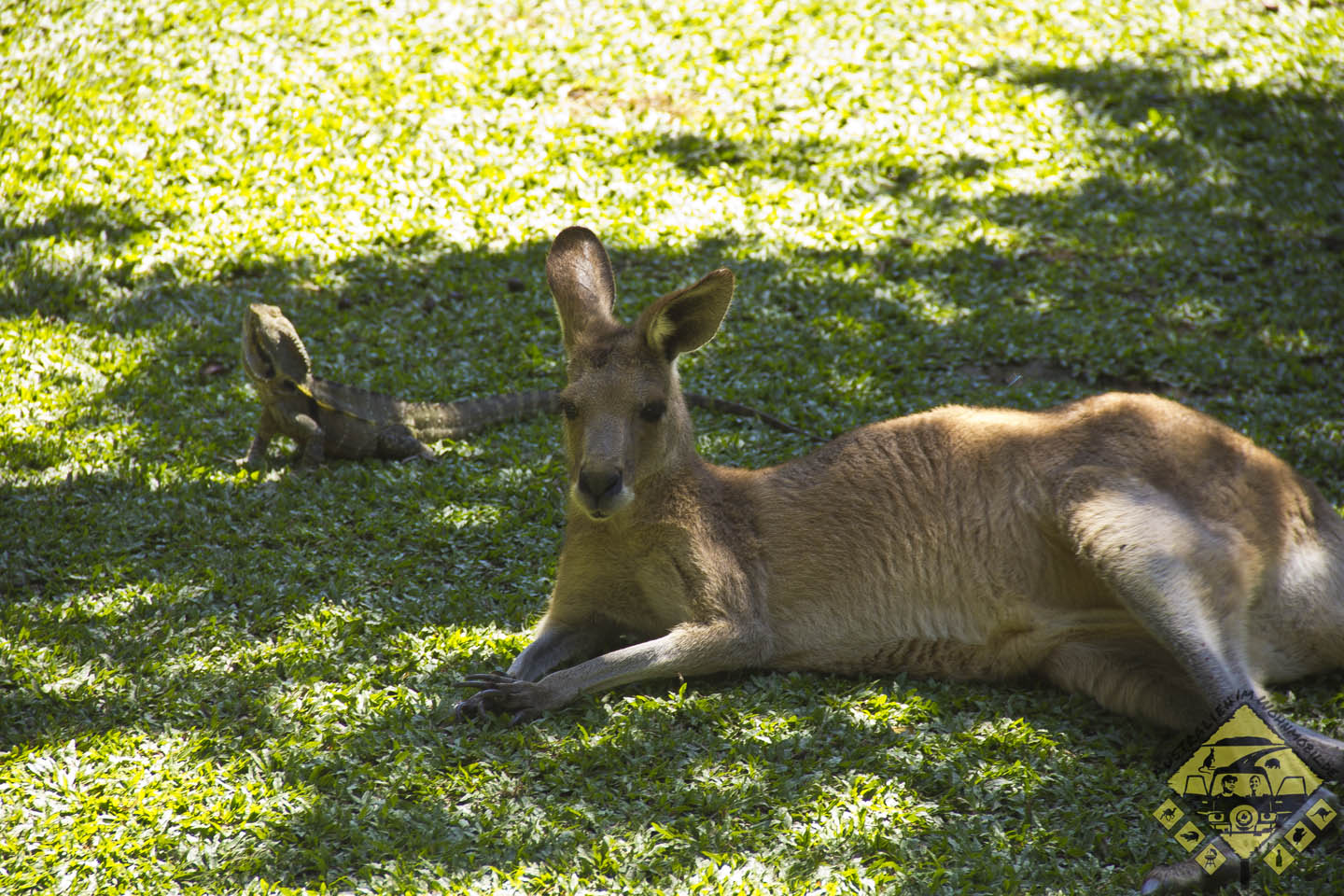 featured image 20120914_7160