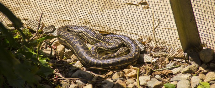 featured image 20120914_7169