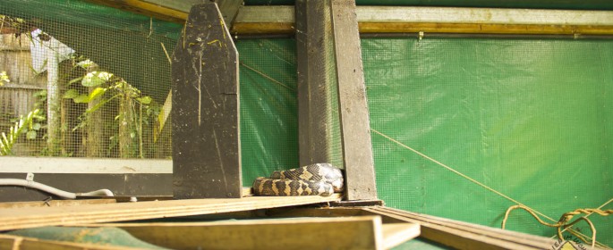featured image 20120914_7172