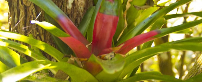 featured image 20120914_7178