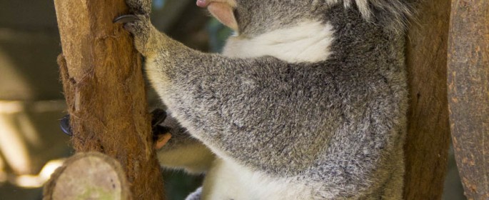 featured image 20120914_7213