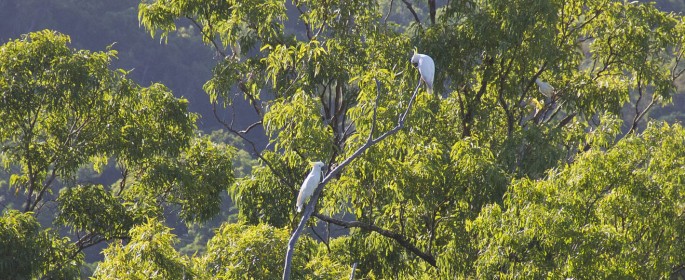 featured image 20120914_7314