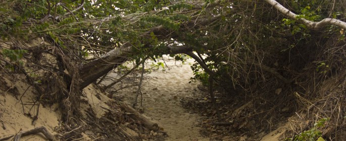 featured image 20120914_7317