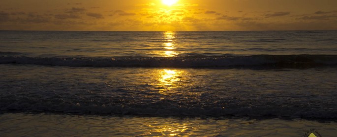 featured image 20120915_7690