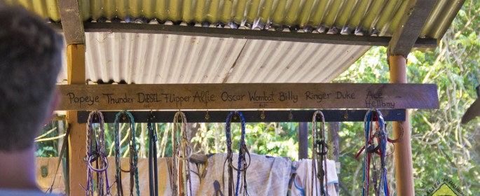 featured image 20120915_7822