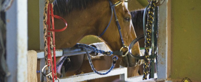 featured image 20120915_7824