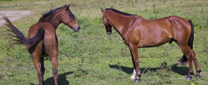 featured image 20120915_7857