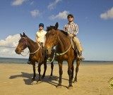 featured image Pferde und Cowboys – Reiten auf Cape Tribulation
