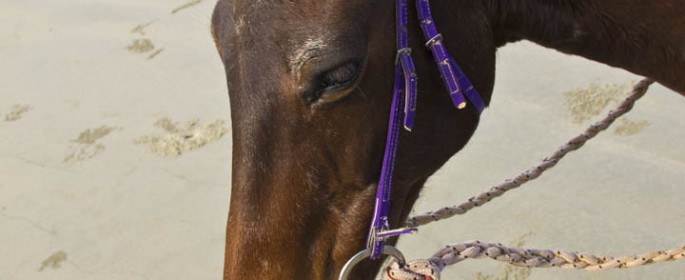 featured image 20120915_7879