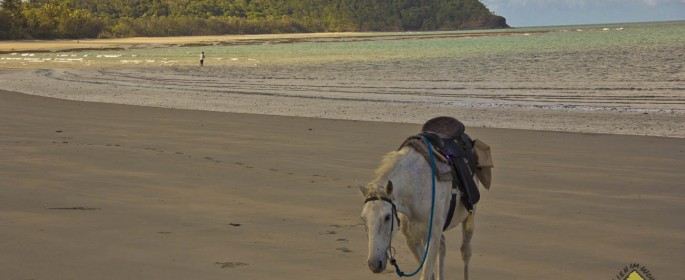 featured image 20120915_7896