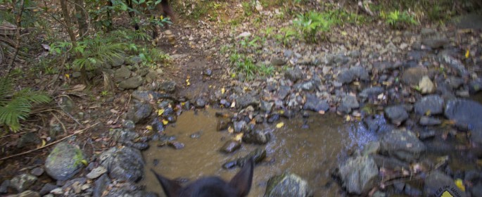 featured image 20120915_7953