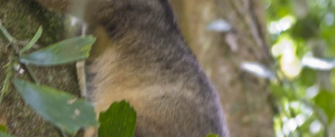 featured image 20120917_8007