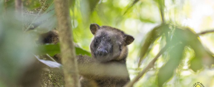 featured image 20120917_8011