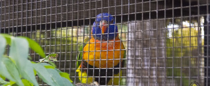 featured image 20120917_8690