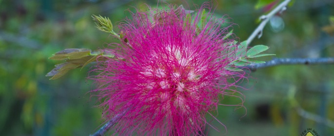 featured image 20120917_8694