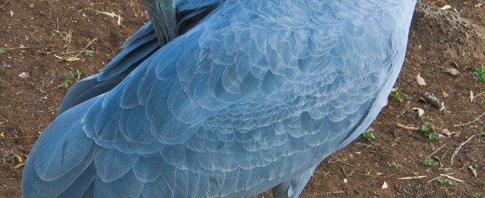 featured image 20120917_8701