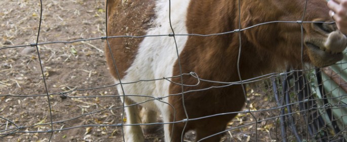 featured image 20120917_8705